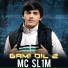 Mc Sl1m