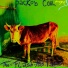 Jackob Cool Project 3