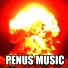 penus