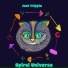 Spiral Universe