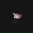 Guðmundur Arnalds