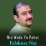 Falaknaz Naz