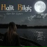 Halit Bilgiç
