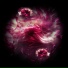 PHLORENCE., ENSCAPE