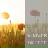 Field Notes Collective
