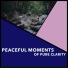 Relaxing Chill Out Music