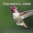 красивая мелодия