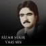 Nîzam Şukir