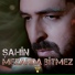 Şahin