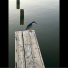 Jay1
