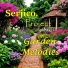 Serjico. Project