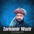 Zarnamir Wazir