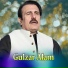 Gulzar Alam