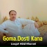 Liyaqat Abid Kharani