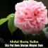 Abdul Raziq Salim