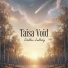 Taisa Void