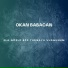 Okan Babacan
