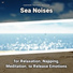 Coastal Sounds, Ocean Sounds, Nature Sounds