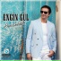 Engin Gül
