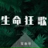 蒙面哥