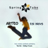 Arteo