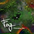 Fog
