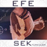 Efe Gungor