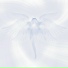 zangel