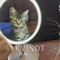 KVIND