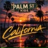 Palm Street Kids