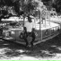 Preto Charus