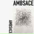 ambsace