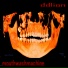 ddlion