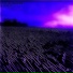 Pr3ttyhatemachine