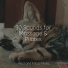 Instrumental, Alpha Waves, White Noise Relaxation