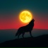Lil Wolf