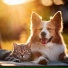 Pet Time Music, Pet Tracks, Goodbye Depression