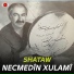 Necmedîn Xulamî