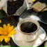 Coffee Shop Lovers