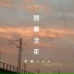 初晴van