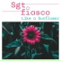 Sgt.fiasco