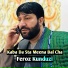 Faroz Konduzi