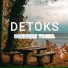 DETOKS