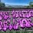 CHEVA
