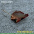 Tod Lippy