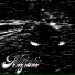Codec