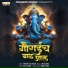 Vikas Salve