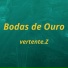vertente.Z