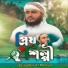 Saifuddin Al Mamun