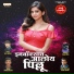Vikas Salve feat. Mukesh Patil